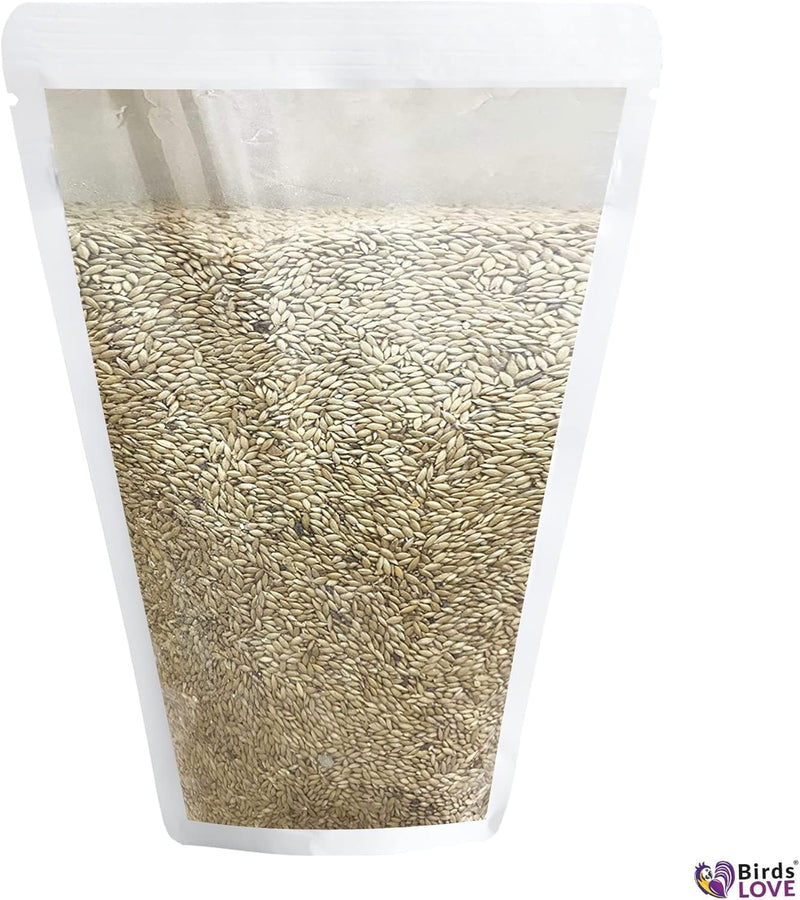 Birds LOVE Alpiste Canary Seed – 100% Pure, Non-GMO, Double Cleaned Food for Canaries, Finches, Budgies & Parakeets – No Additives, Bird Feed, 5 lbs