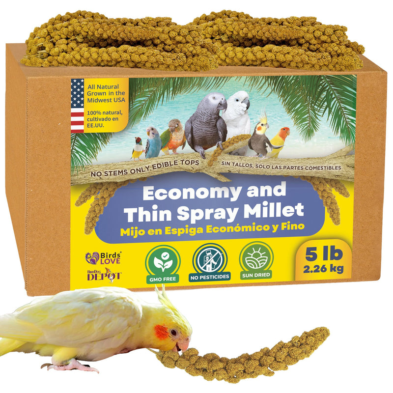 Birds LOVE Economy Special Spray Millet – 5 lb GMO-Free, No Stems (Only Edible Tops) – Healthy Treat for Cockatiels, Lovebirds, Parakeets, Finches & Canaries