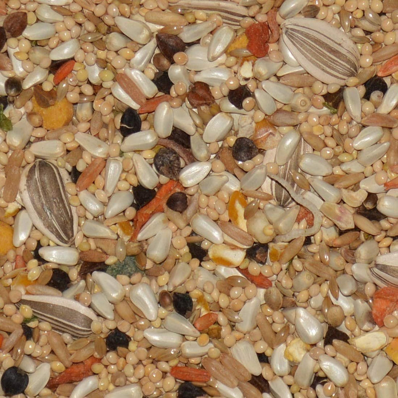 Volkman Seed Avian Science Super Cockatiel with Sunflower Bird Food 4lb