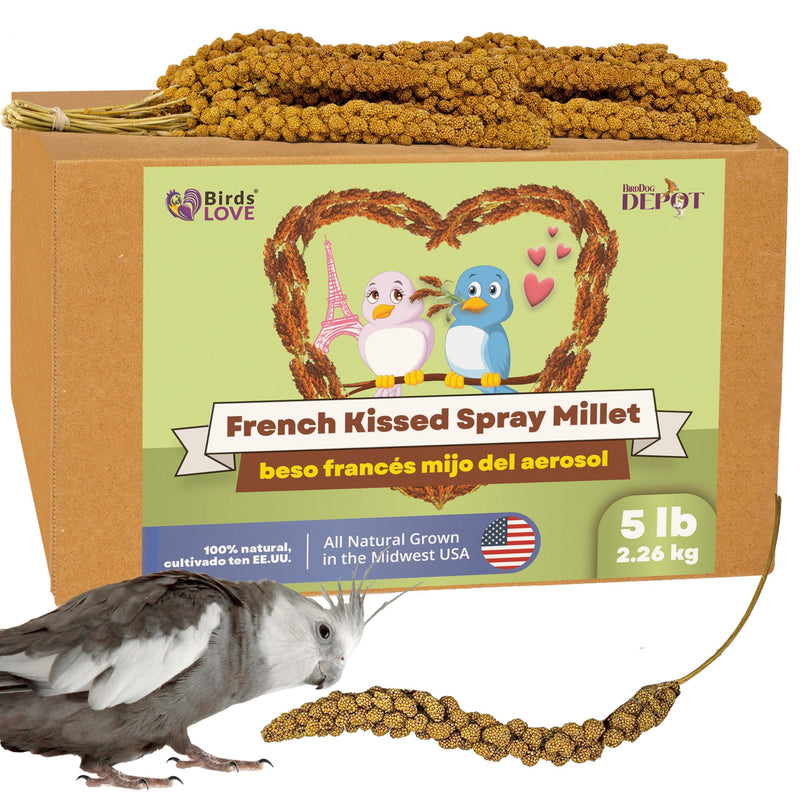 Birds LOVE French Kissed Spray Millet for Birds - Parakeets, Cockatiels, Lovebirds, Finches, Budgies, Canaries, Cockatoos - Natural & Healthy Bird Millet - Parakeet Food & Treats for All Parrots 5lbs
