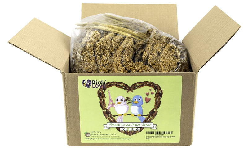 Birds LOVE French Kissed Spray Millet for Birds - Parakeets, Cockatiels, Lovebirds, Finches, Budgies, Canaries, Cockatoos - Natural & Healthy Bird Millet - Parakeet Food & Treats for All Parrots 2lbs