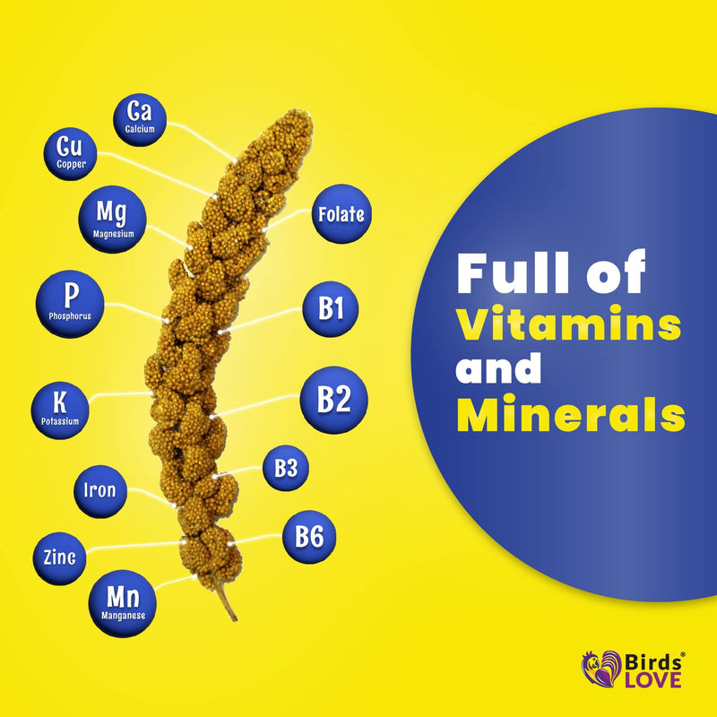 Birds LOVE Economy Special Spray Millet - 1lb GMO-Free (No Stems Only Edible Tops) for Birds Cockatiel Lovebird Parakeet Finch Canary All Parrots - Healthy Bird Treat