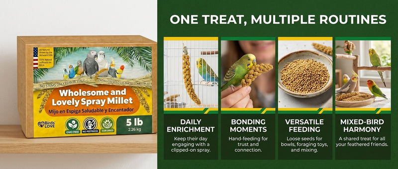 Birds LOVE 25 LB Wholesome Spray Millet for Birds USA Grown, Natural Sun Dried
Millet Sprays Thick Clusters for Parakeets, Budgies, Cockatiels, Conures, Finches &
Parrots