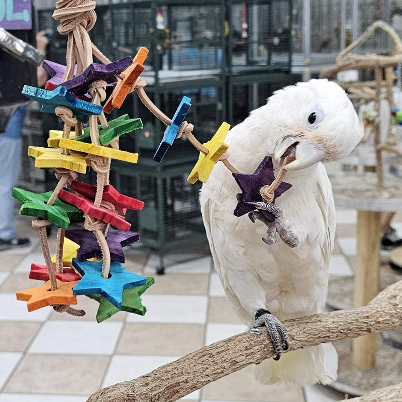 Birds LOVE Wood Stars & Leather Toy for Bird Cage Stand or Playgym, Bird Toys for Small to Medium Parrots, Sun Conures, Green Cheeked Conures, Quakers, Parakeets, Caiques, Cockatiels, African Senegals