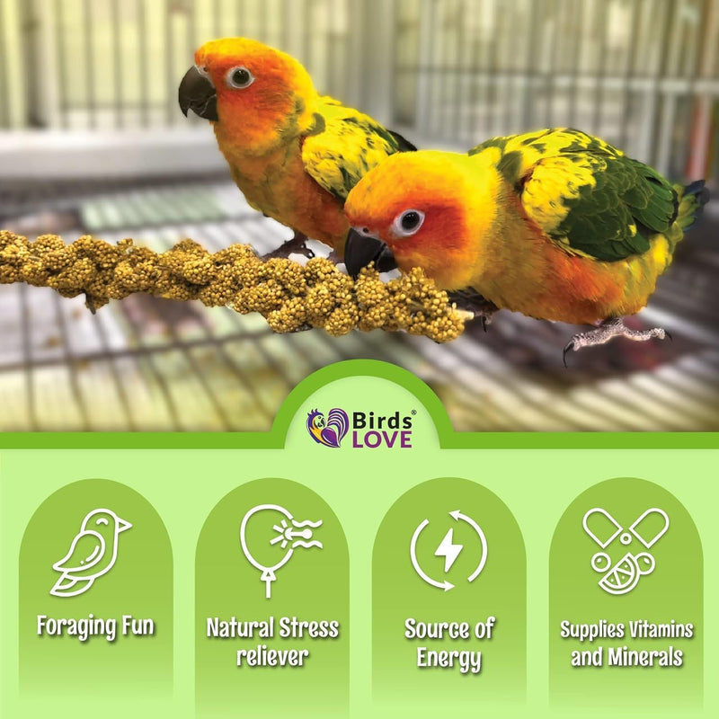 Birds LOVE French Kissed Spray Millet for Birds - Parakeets, Cockatiels, Lovebirds, Finches, Budgies, Canaries, Cockatoos - Natural & Healthy Bird Millet - Parakeet Food & Treats for All Parrots 1lb
