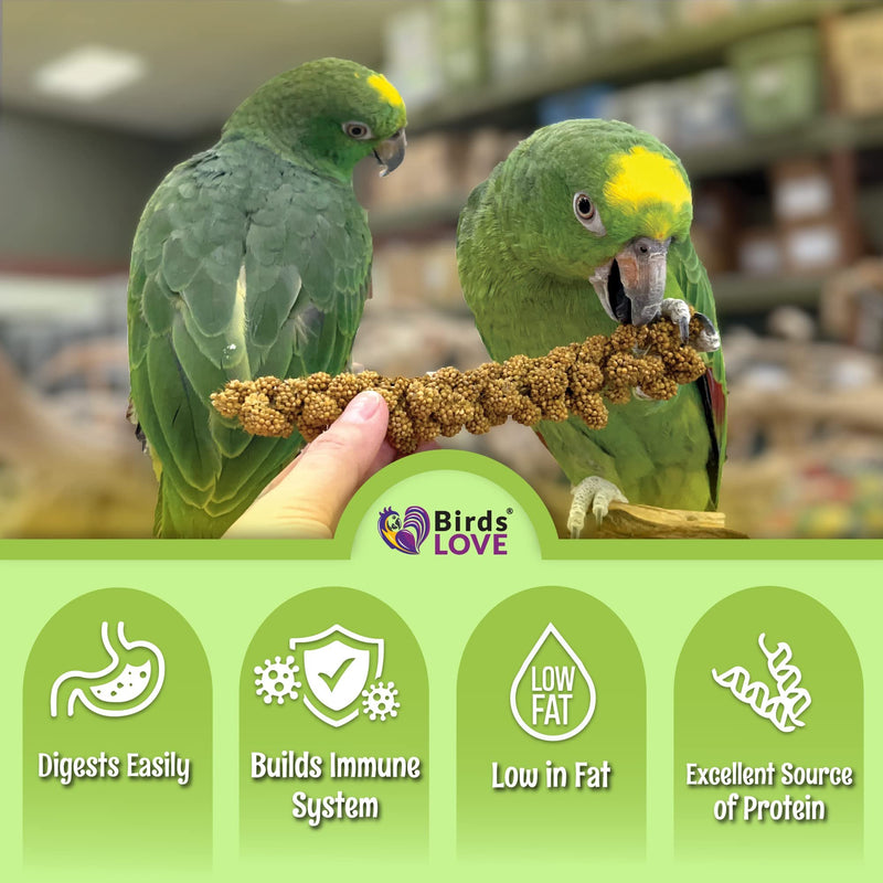 Birds LOVE French Kissed Spray Millet for Birds - Parakeets, Cockatiels, Lovebirds, Finches, Budgies, Canaries, Cockatoos - Natural & Healthy Bird Millet - Parakeet Food & Treats for All Parrots 5lbs