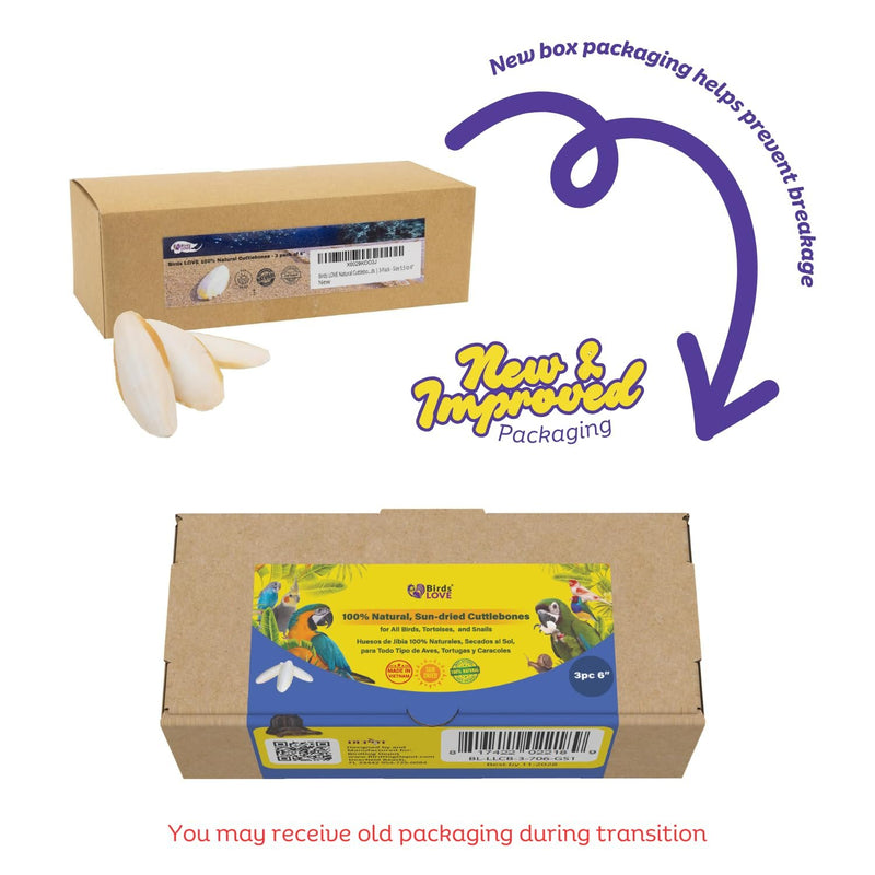 Birds LOVE Natural Cuttlebone | 100% Pure Sun-Dried Calcium Supplement for Birds, Tortoises, Snails & Crabs | Supports Beak & Shell Health | Easy to Chew | 3 Pack, Size 5.5 to 6"