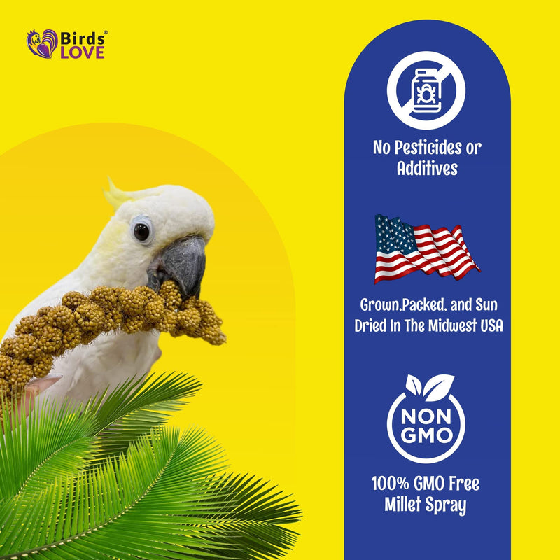 Birds LOVE Economy Special Spray Millet GMO-Free (No Stems Only Edible Tops) for Birds Cockatiel Lovebird Parakeet Finch Canary All Parrots Healthy Treat - 7oz