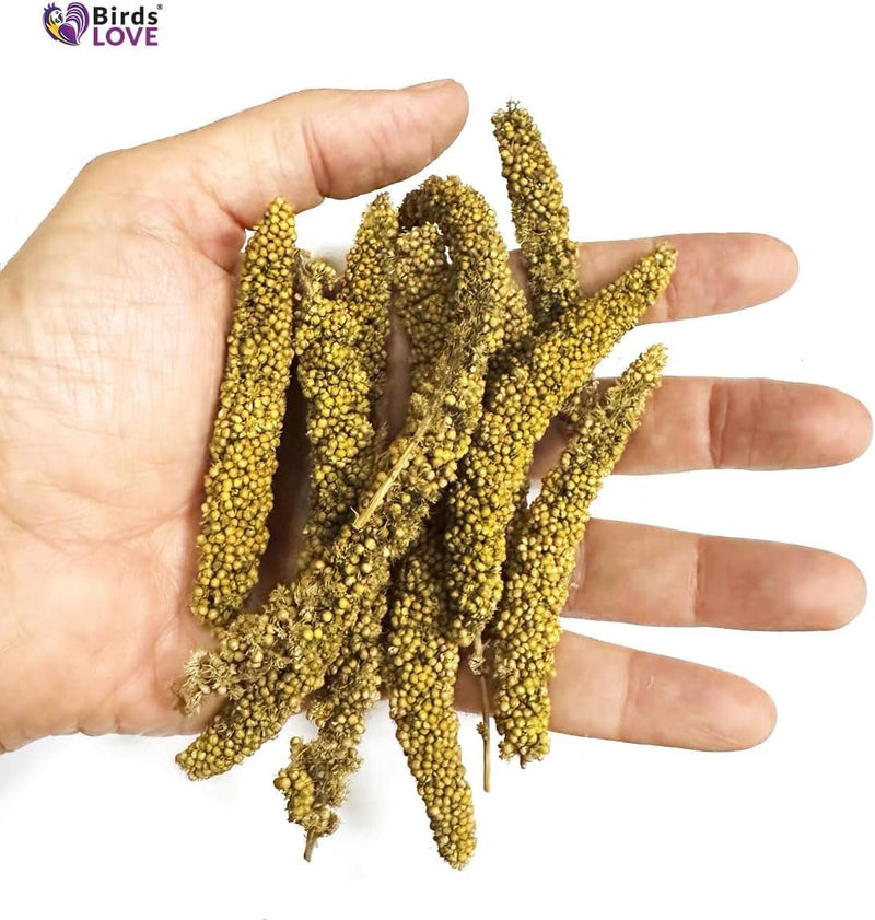 Birds LOVE Millet Tips & Tails for Birds - Parakeets, Cockatiels, Lovebirds, Budgies, Canaries, Cockatoos - Natural & Healthy Millet for Bird, Parakeet Food & Treats for All Parrots, 1lb (Pack of 25)