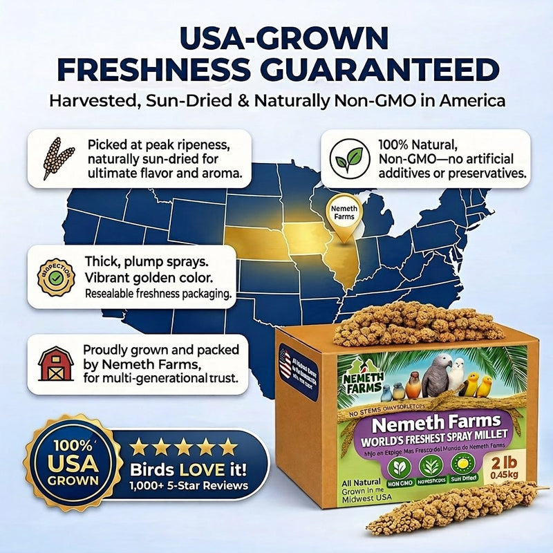 USA Grown Spray Millet for Birds–Midwest Harvest, 2 lb Premium Natural Non-GMO Whole Millet Sprays for Parakeets, Cockatiels, Budgies, Conures, Lovebirds, Finches & Parrots