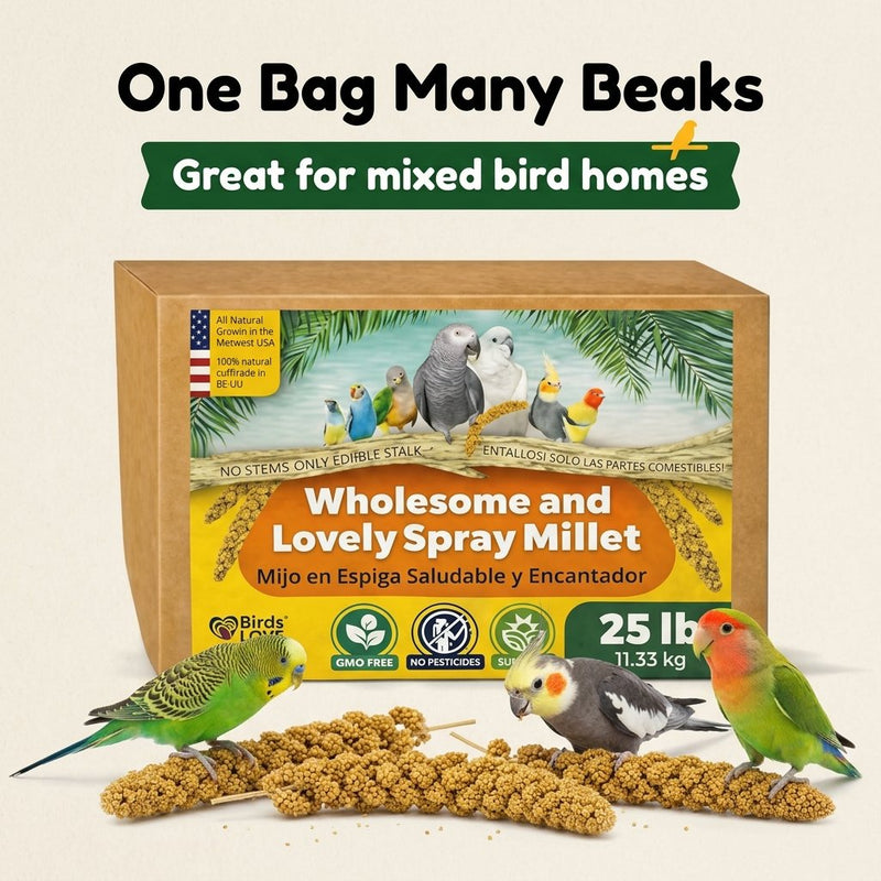Birds LOVE 25 LB Wholesome Spray Millet for Birds USA Grown, Natural Sun Dried
Millet Sprays Thick Clusters for Parakeets, Budgies, Cockatiels, Conures, Finches &
Parrots