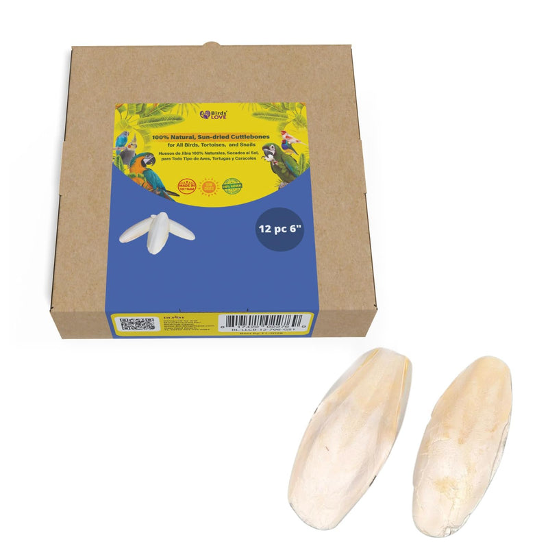 Birds LOVE Natural Cuttlebone - Premium Calcium & Trace Mineral Supplement for Avian Species, Tortoises, and Snails - Pure Cuttlefish Bones for Parakeets, Cockatiels & All Birds - 12 Pack of 5 .5-6"