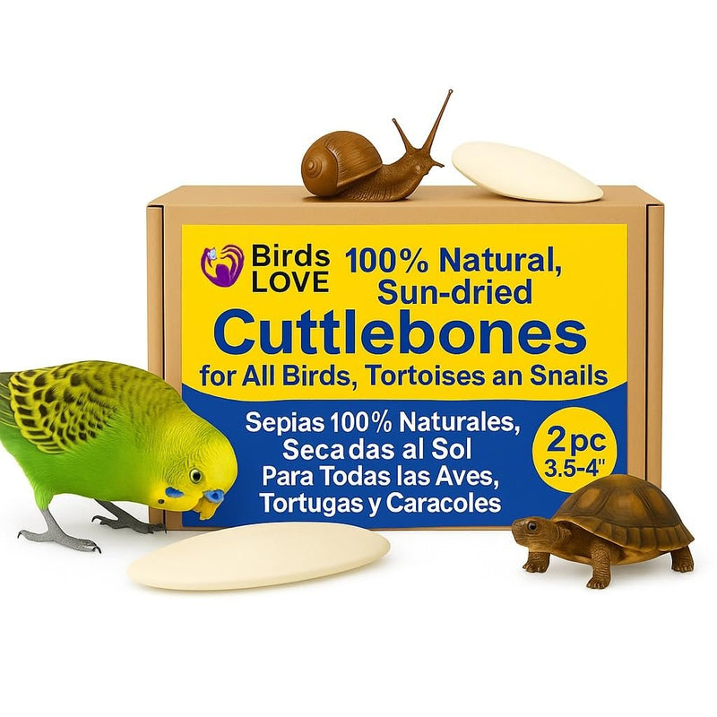 Birds LOVE Natural Cuttlebone | 100% Pure Sun-Dried Calcium Supplement for Birds, Tortoises, Snails & Crabs | Supports Beak & Shell Health | Easy to Chew | 2 Pack, Size 3.5 to 4"