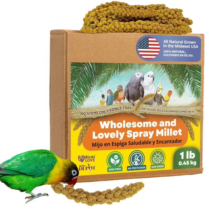 Birds LOVE Spray Millet – 1 lb GMO-Free, No Stems (Edible Tops Only) – Healthy Treat for Cockatiels, Lovebirds, Parakeets, Finches & Canaries