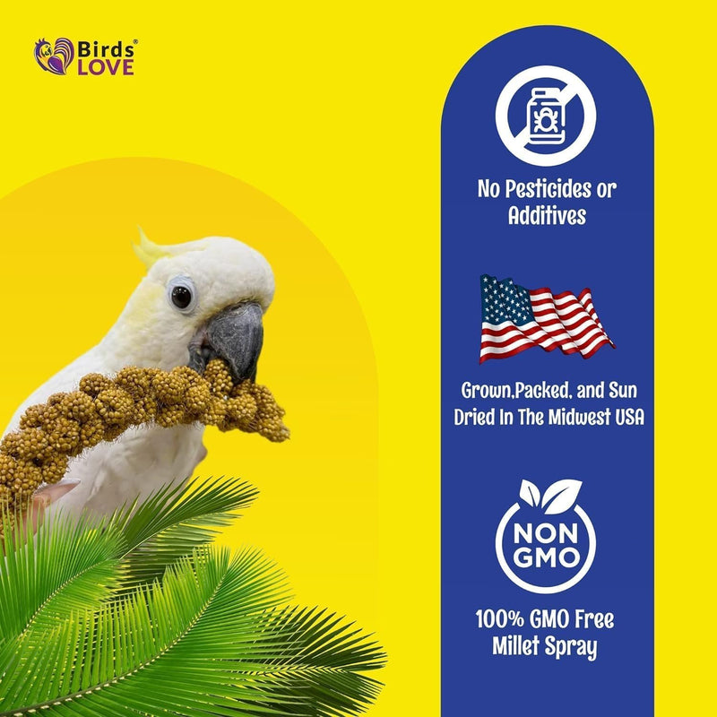 Birds LOVE Millet Tips & Tails for Birds - Parakeets, Cockatiels, Lovebirds, Budgies, Canaries, Cockatoos - Natural & Healthy Millet for Birds, Parakeet Food & Treats for all Parrots, 5oz (Pack of 94)