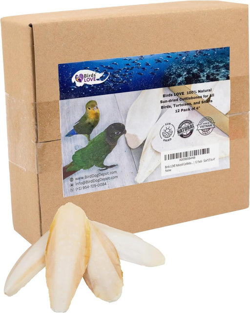 Birds LOVE Natural Cuttlebone – Premium Calcium & Trace Mineral Supplement for Avian Species, Tortoises, and Snails – Pure Cuttlebone for Parakeets and All Birds -12 Pack (Size 3.5 to 4")