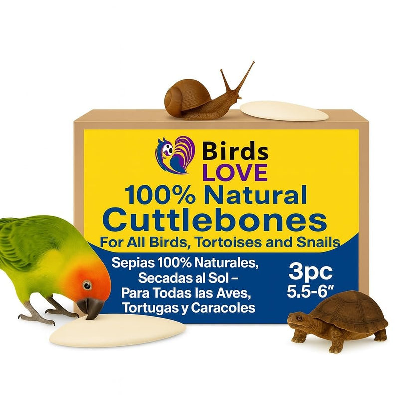 Birds LOVE Natural Cuttlebone | 100% Pure Sun-Dried Calcium Supplement for Birds, Tortoises, Snails & Crabs | Supports Beak & Shell Health | Easy to Chew | 3 Pack, Size 5.5 to 6"