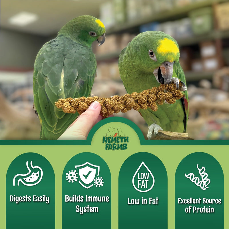 USA Grown Spray Millet for Birds–Midwest Harvest, 25 lb Premium Natural Non-GMO Whole Millet Sprays for Parakeets, Cockatiels, Budgies, Conures, Lovebirds, Finches & Parrots