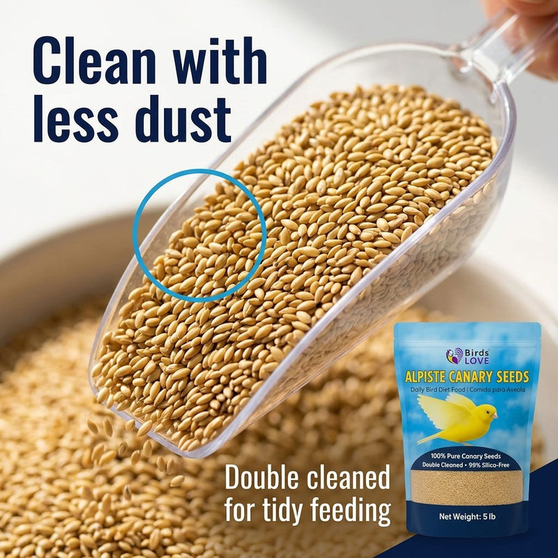 Birds LOVE Alpiste Canary Seed – 100% Pure, Non-GMO, Double Cleaned Food for Canaries, Finches, Budgies & Parakeets – No Additives, Bird Feed, 5 lbs