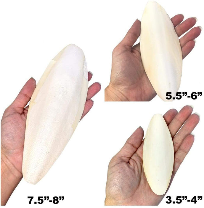 Birds LOVE Natural Cuttlebone for Birds Parakeet & All Breeds| Cuttlebone for Tortoise & Snails | Calcium Block for Birds Alternative | Cuttlefish Bone 3.5 to 4" - Pack of 2