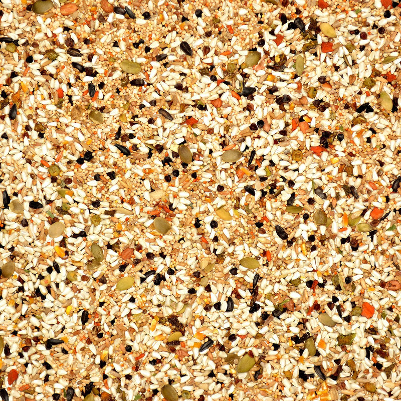 Volkman Seed Avian Science Lovebird & Conure Bird Seed (8 lb)