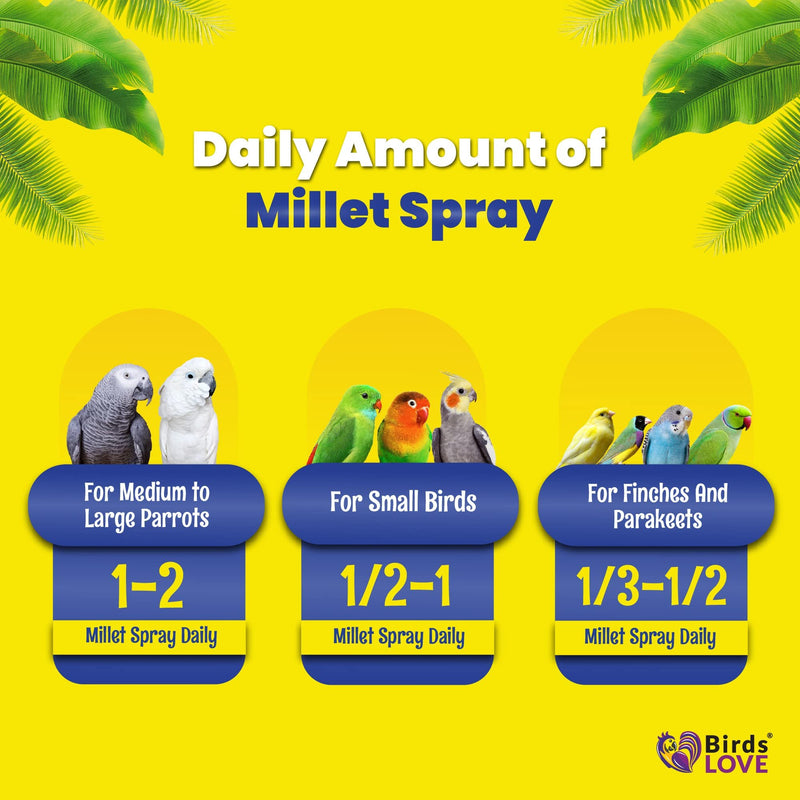 Birds LOVE Economy Special Spray Millet GMO-Free (No Stems Only Edible Tops) for Birds Cockatiel Lovebird Parakeet Finch Canary All Parrots Healthy Treat - 25lbs