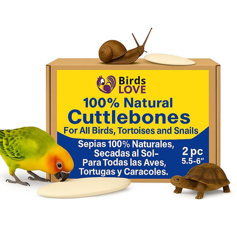 Birds LOVE Natural Cuttlebone | 100% Pure Sun-Dried Calcium Supplement for Birds, Tortoises, Snails & Crabs | Supports Beak & Shell Health | Easy to Chew | 2 Pack, Size 5.5 to 6"