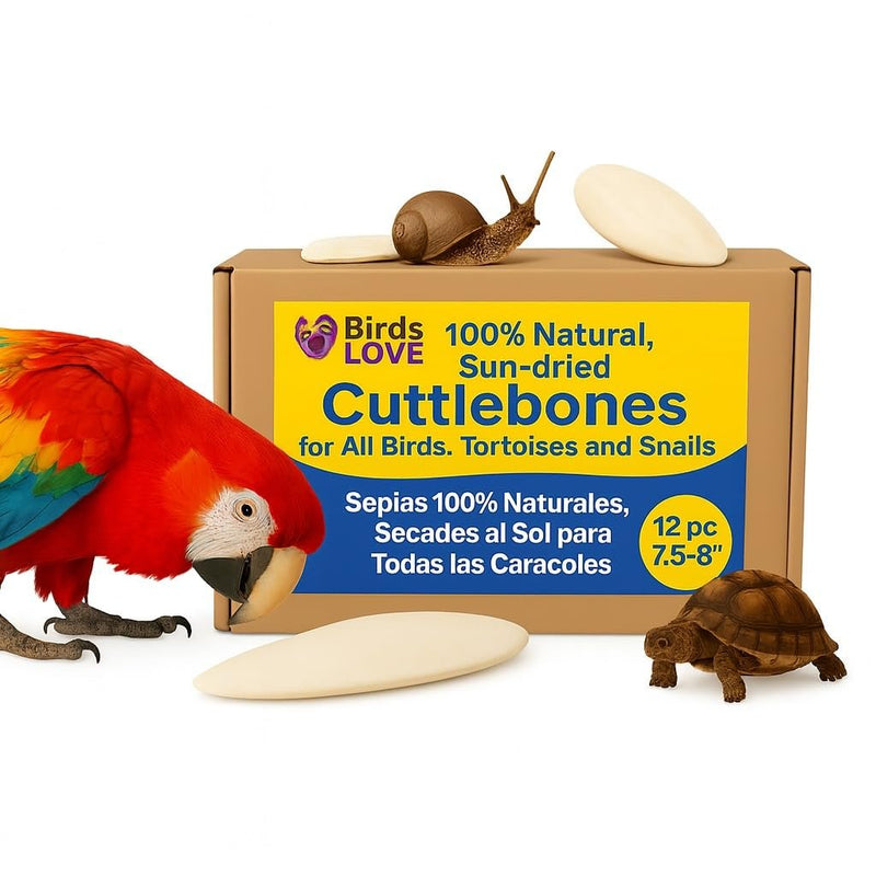 Birds LOVE Natural Cuttlebone | 100% Pure Sun-Dried Calcium Supplement for Birds, Tortoises, Snails & Crabs | Supports Beak & Shell Health | Easy to Chew | 12 Pack, Size 7.5 to 8"
