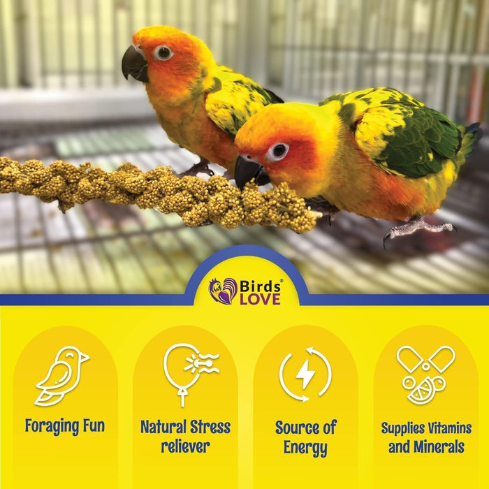 Birds LOVE Tips and Tails Millet for Birds - Healthy Bird Treat and Supplement for All Pet Birds Including Cockatiel, Lovebird, Finch, Canary and All Type of Parrots - Sun-Dried Parakeet Food, 1lb