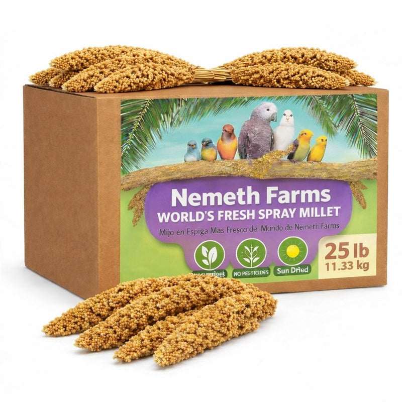 USA Grown Spray Millet for Birds – Midwest Harvest, 25 lb Premium Natural Non - GMO Whole Millet Sprays for Parakeets, Cockatiels, Budgies, Conures, Lovebirds, Finches & Parrots