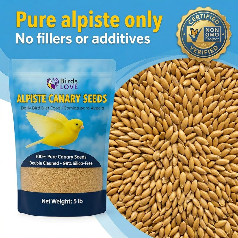 Birds LOVE Alpiste Canary Seed – 100% Pure, Non-GMO, Double Cleaned Food for Canaries, Finches, Budgies & Parakeets – No Additives, Bird Feed, 5 lbs