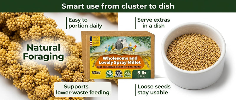 Birds LOVE 25 LB Wholesome Spray Millet for Birds USA Grown, Natural Sun Dried
Millet Sprays Thick Clusters for Parakeets, Budgies, Cockatiels, Conures, Finches &
Parrots
