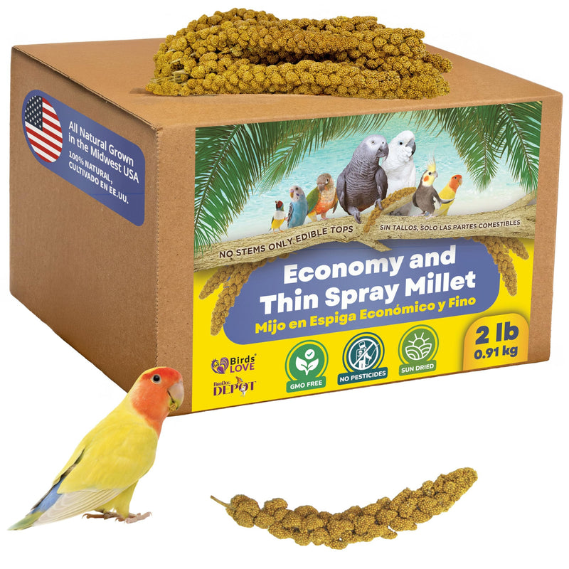 Birds LOVE Economy Special Spray Millet GMO-Free (No Stems Only Edible Tops) for Birds Cockatiel Lovebird Parakeet Finch Canary All Parrots Healthy Treat - 2lbs