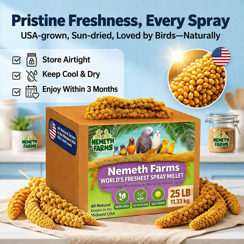 USA Grown Spray Millet for Birds – Midwest Harvest, 25 lb Premium Natural Non - GMO Whole Millet Sprays for Parakeets, Cockatiels, Budgies, Conures, Lovebirds, Finches & Parrots