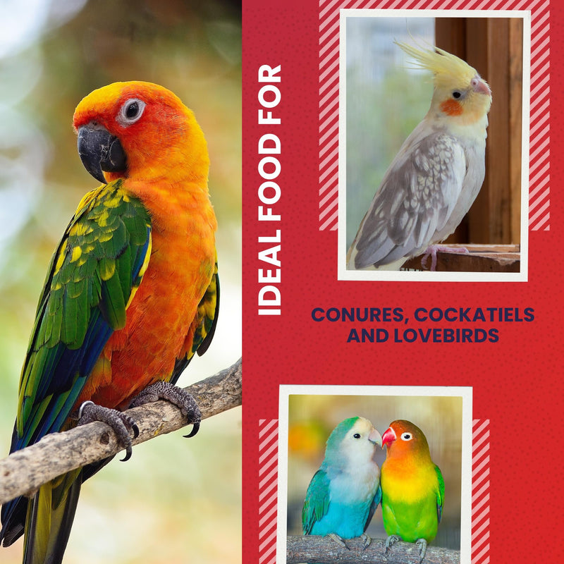 5LB 3400 Wholesome Conure & Cockatiel Blend