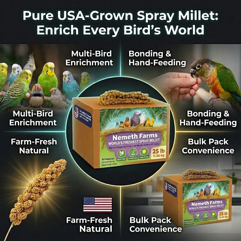 USA Grown Spray Millet for Birds – Midwest Harvest, 25 lb Premium Natural Non - GMO Whole Millet Sprays for Parakeets, Cockatiels, Budgies, Conures, Lovebirds, Finches & Parrots