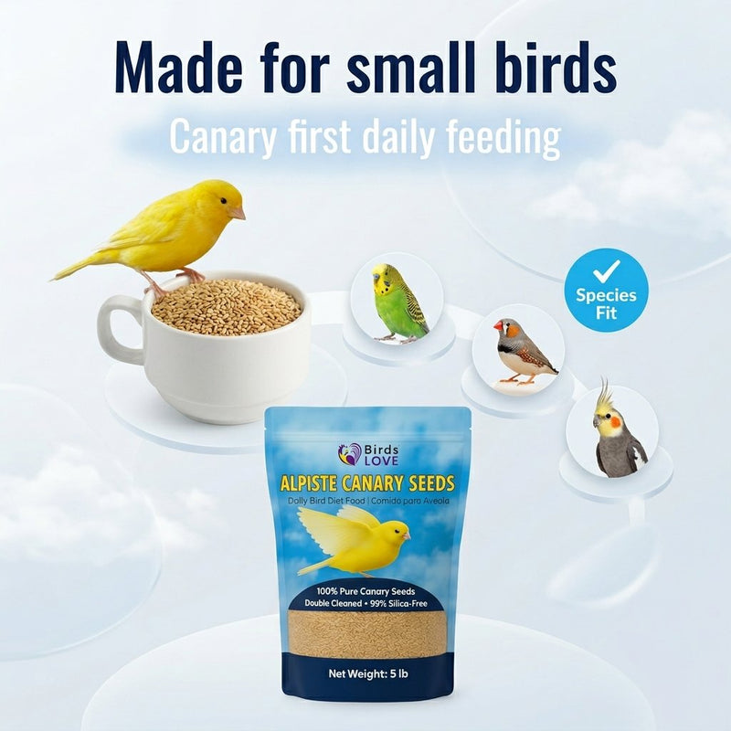 Birds LOVE Alpiste Canary Seed – 100% Pure, Non-GMO, Double Cleaned Food for Canaries, Finches, Budgies & Parakeets – No Additives, Bird Feed, 5 lbs