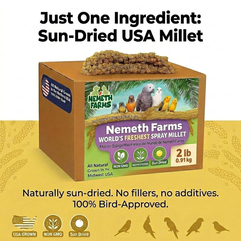 USA Grown Spray Millet for Birds–Midwest Harvest, 2 lb Premium Natural Non-GMO Whole Millet Sprays for Parakeets, Cockatiels, Budgies, Conures, Lovebirds, Finches & Parrots