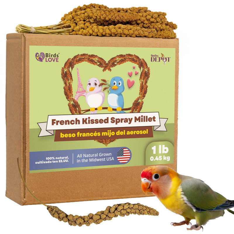Birds LOVE French Kissed Spray Millet for Birds - Parakeets, Cockatiels, Lovebirds, Finches, Budgies, Canaries, Cockatoos - Natural & Healthy Bird Millet - Parakeet Food & Treats for All Parrots 1lb