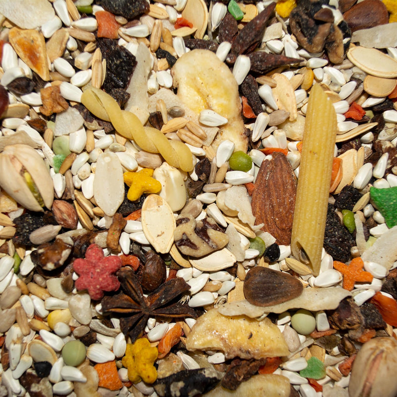 Volkman Avian Science Super African Grey Bird Food 4lb