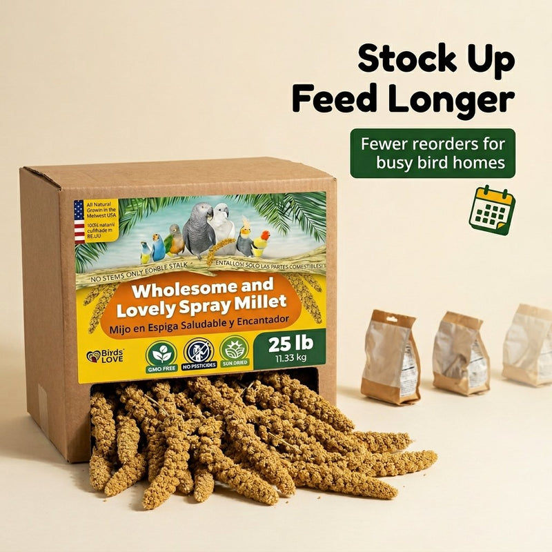 Birds LOVE 25 LB Wholesome Spray Millet for Birds USA Grown, Natural Sun Dried
Millet Sprays Thick Clusters for Parakeets, Budgies, Cockatiels, Conures, Finches &
Parrots