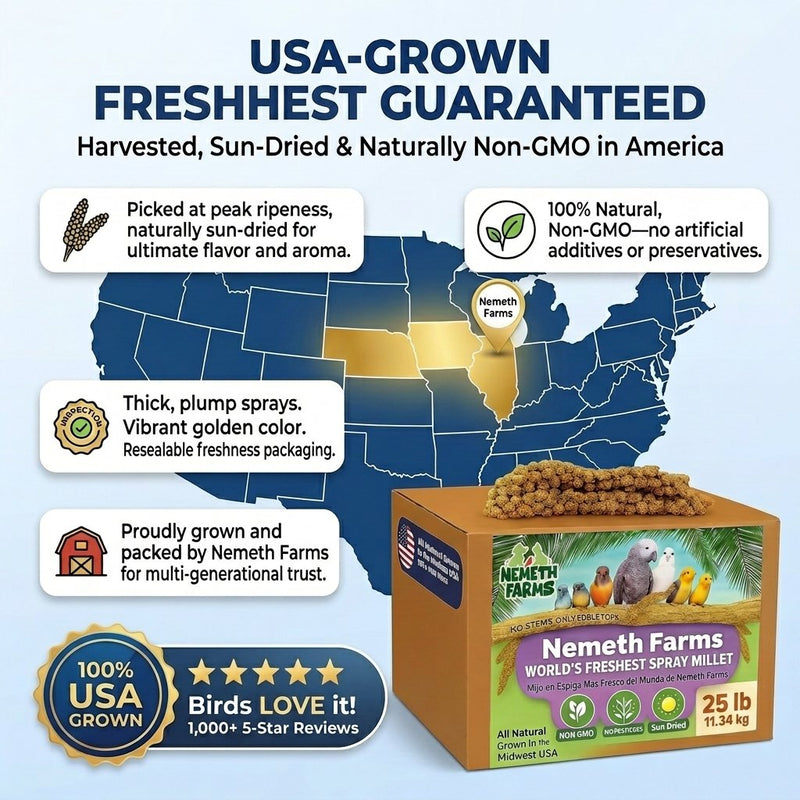 USA Grown Spray Millet for Birds – Midwest Harvest, 25 lb Premium Natural Non - GMO Whole Millet Sprays for Parakeets, Cockatiels, Budgies, Conures, Lovebirds, Finches & Parrots