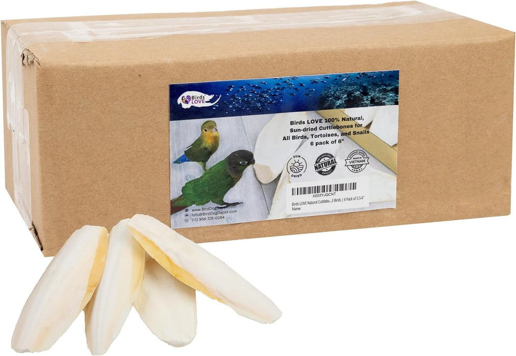 Birds LOVE Natural Cuttlebone – Premium Calcium & Trace Mineral Supplement for Avian Species, Tortoises, and Snails – Pure Cuttlebone for Parakeets, Cockatiels and All Birds - 6 Pack of 5.5-6"