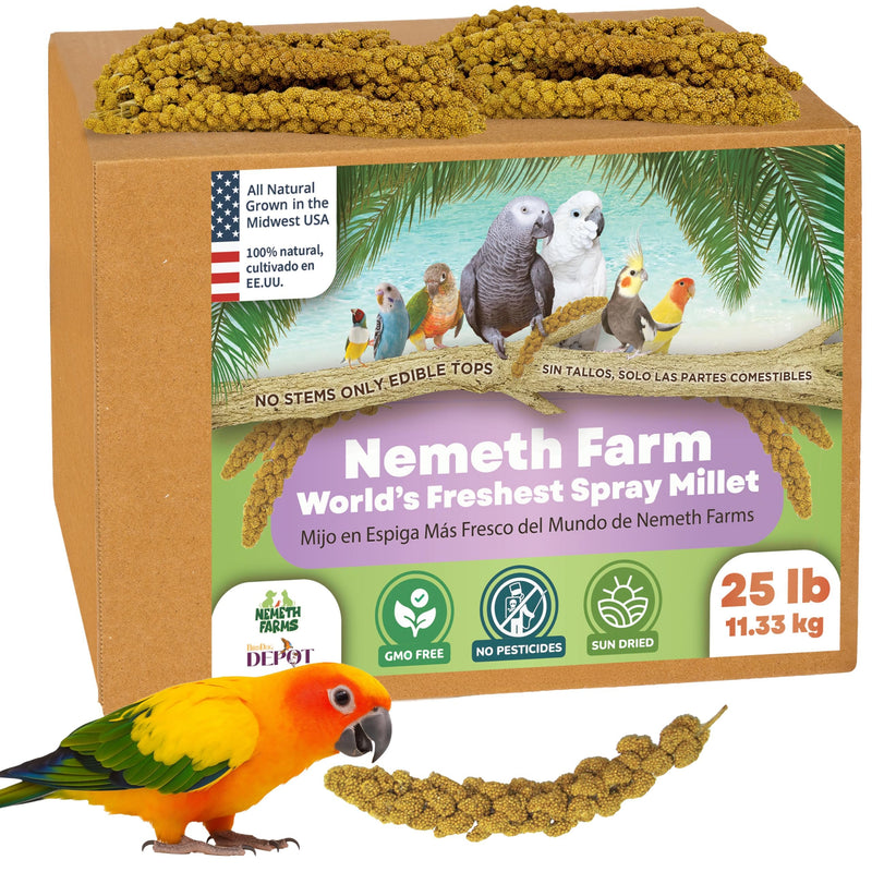 USA Grown Spray Millet for Birds–Midwest Harvest, 25 lb Premium Natural Non-GMO Whole Millet Sprays for Parakeets, Cockatiels, Budgies, Conures, Lovebirds, Finches & Parrots