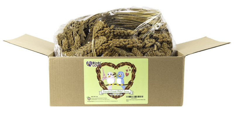 Birds LOVE French Kissed Spray Millet for Birds - Parakeets, Cockatiels, Lovebirds, Finches, Budgies, Canaries, Cockatoos - Natural & Healthy Bird Millet - Parakeet Food & Treats for All Parrots 5lbs
