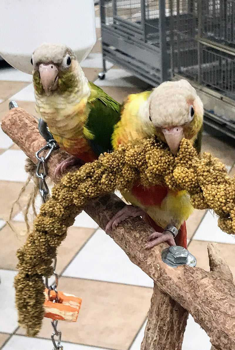 Nemeth Farms Premium Non-GMO Spray Millet Treat | Hand-Harvested Bird Snack | 100% Edible Tops | Sun-Dried Supplement for Parakeets, Cockatiels, Finches, Lovebirds, Canaries