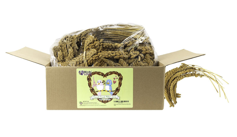 Birds LOVE French Kissed Spray Millet for Birds - Parakeets, Cockatiels, Lovebirds, Finches, Budgies, Canaries, Cockatoos - Natural & Healthy Bird Millet - Parakeet Food & Treats for All Parrots 5lbs