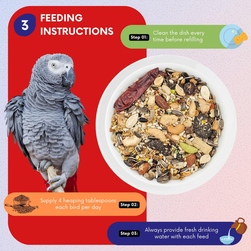 ABBA 1400 Premium Bird Food for African Grey, Conure, and Senegal Parrot, Bird Seed Blend with Whole Eggs, Fruits and Nuts - Packed with Protein, Vitamins & Minerals, 5 lbs