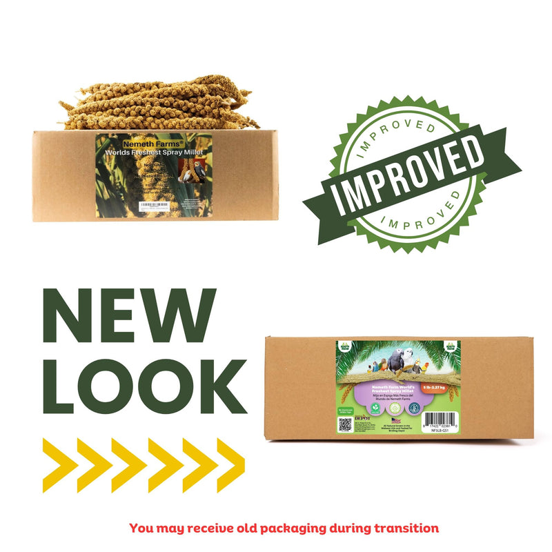 Nemeth Farms Worlds Freshest GMO-Free, Sun Dried Spray Millet No Stems Only Edible - Tops-Original Bird Treat and Supplement for Pet Birds Parakeets, Cockatiels, Lovebirds and Finches - 5lbs