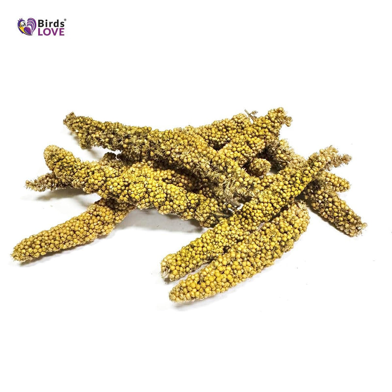 Birds LOVE Millet Tips & Tails for Birds - Parakeets, Cockatiels, Lovebirds, Finches, Budgies, Canaries, Cockatoos - Natural & Healthy Millet for Birds - Parakeet Food & Treats for All Parrots, 1lb